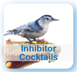Inhibitor Cocktails