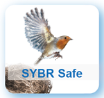 SYBR Safe