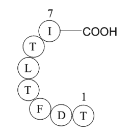 IgG light chain variable region [Homo sapiens]/IgM/kappa antibody [Mus musculus]