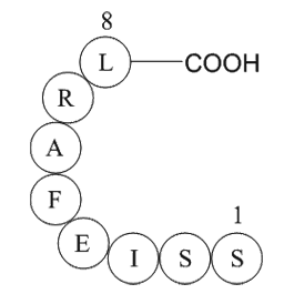Glycoprotein B (485-492)