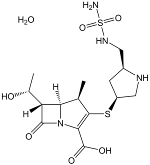 Doripenem Hydrate