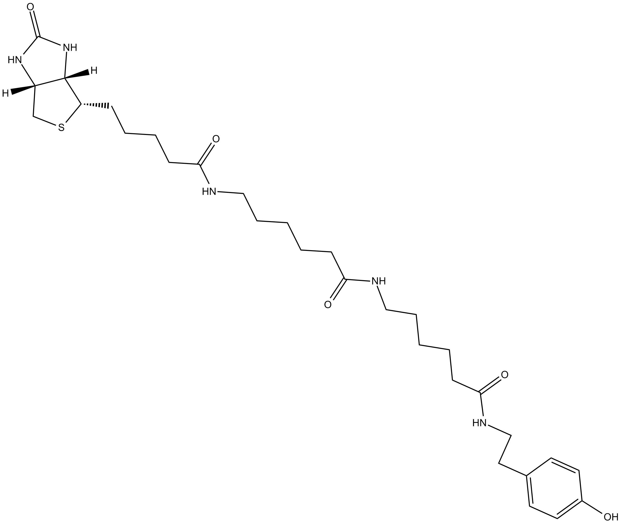 Biotin-XX Tyramide Reagent