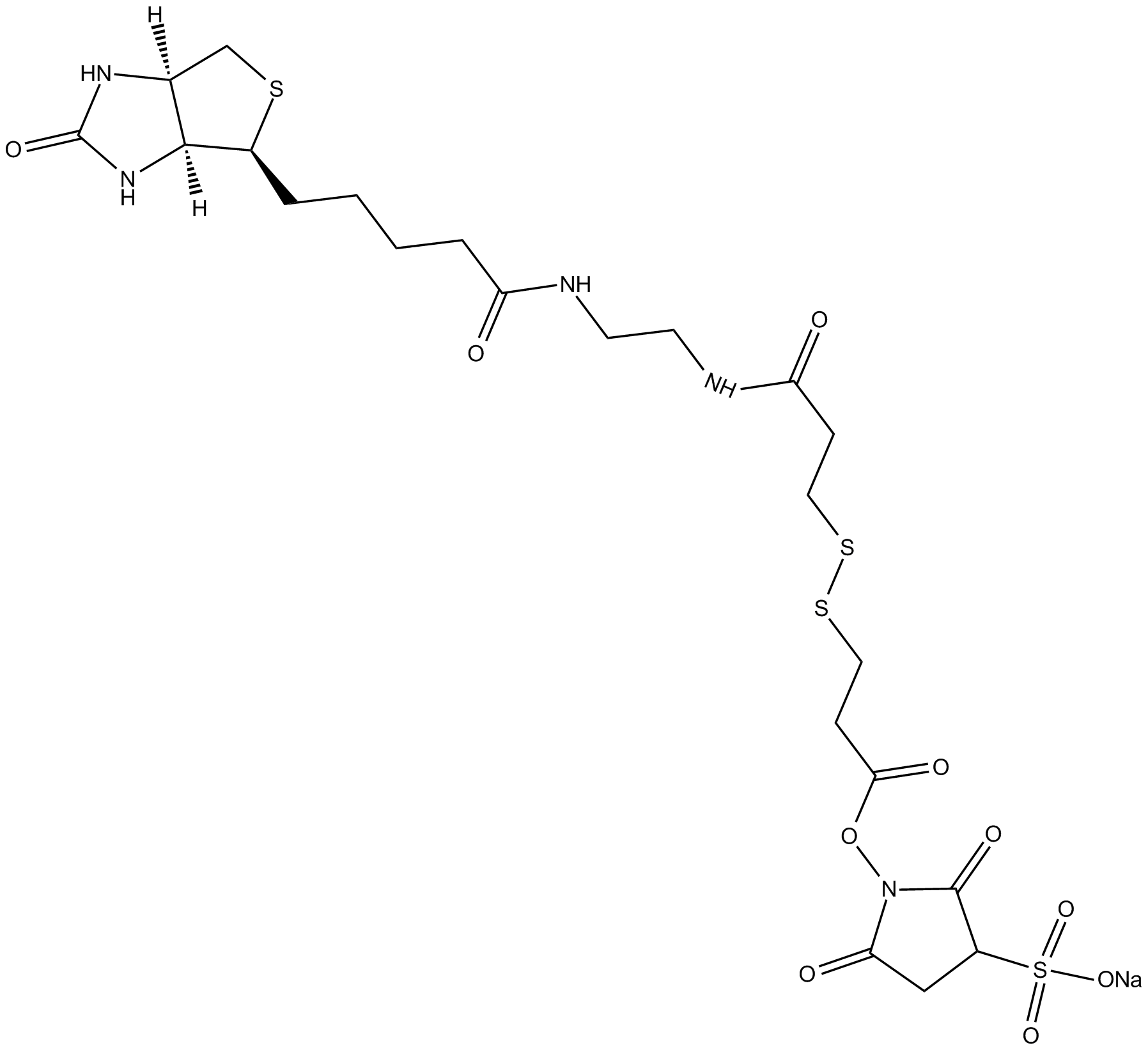 Sulfo-NHS-SS-11-Biotin