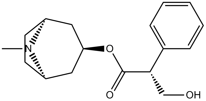 Hyoscyamine