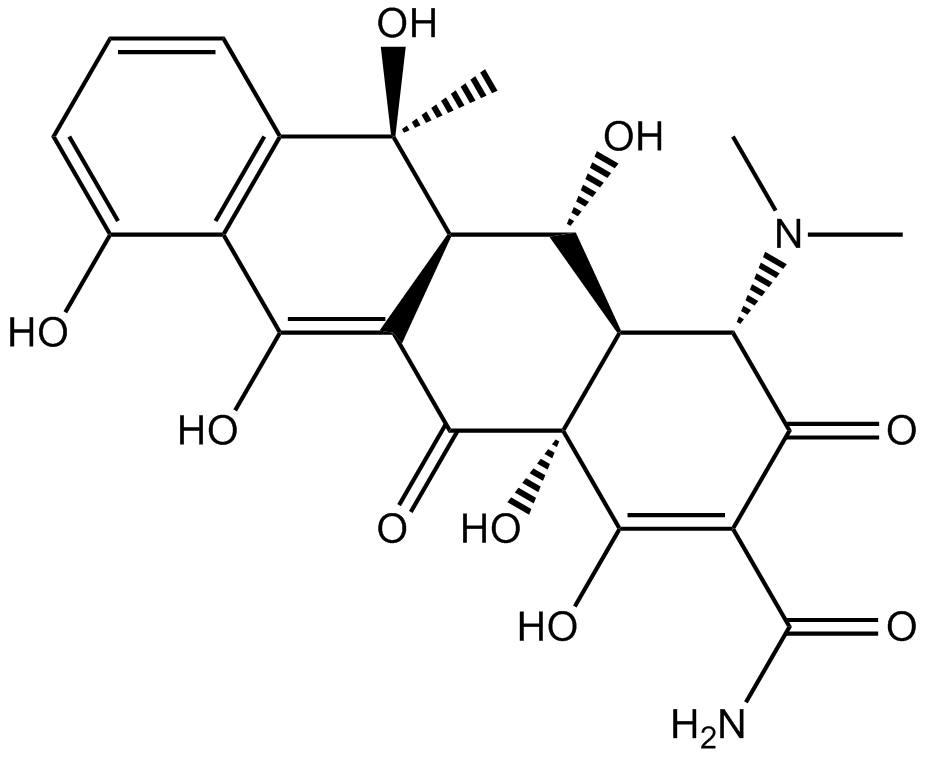 Oxytetracycline (Terramycin)