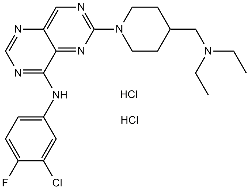 BIBU 1361 dihydrochloride
