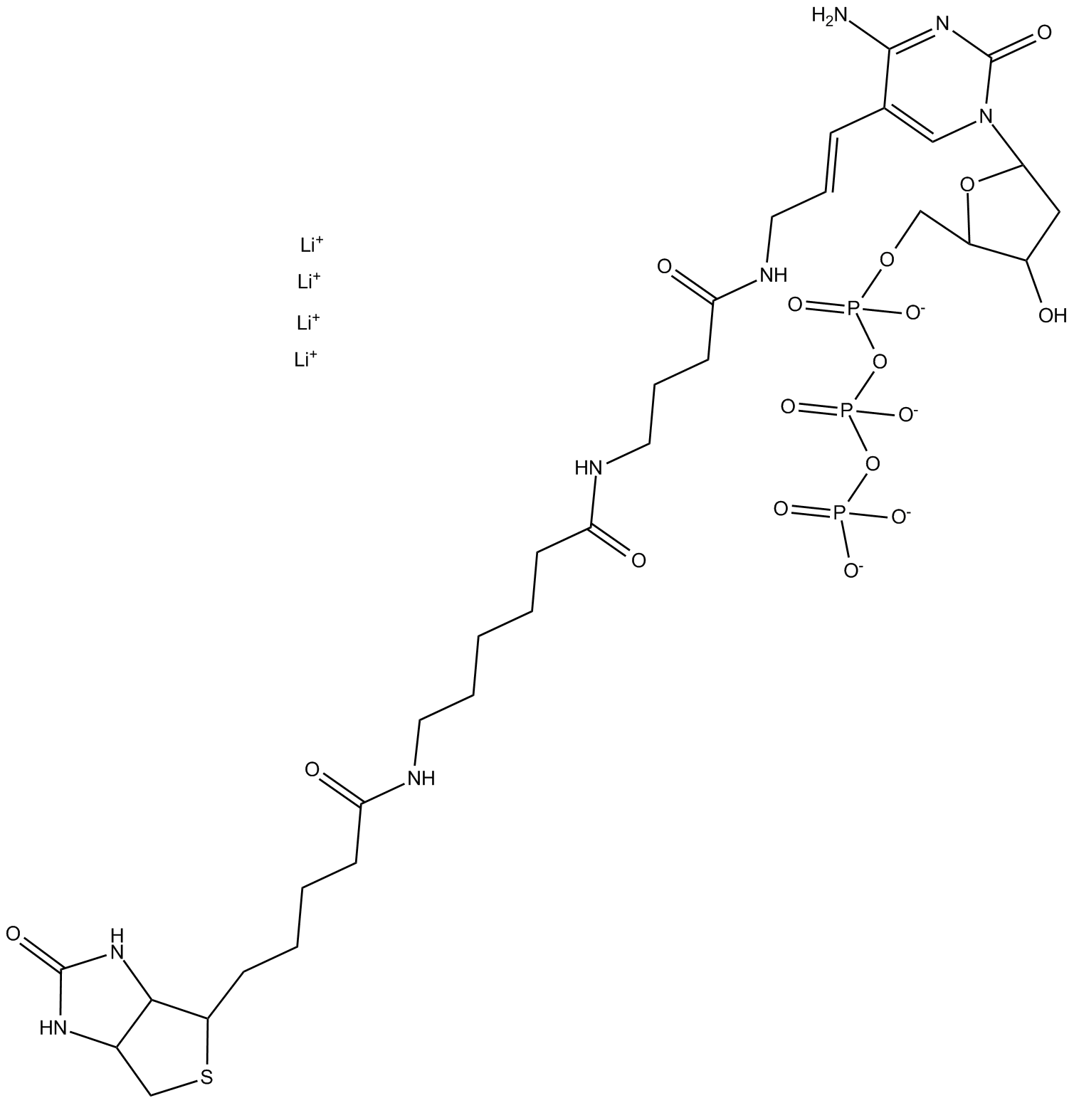 Biotin-16-dCTP