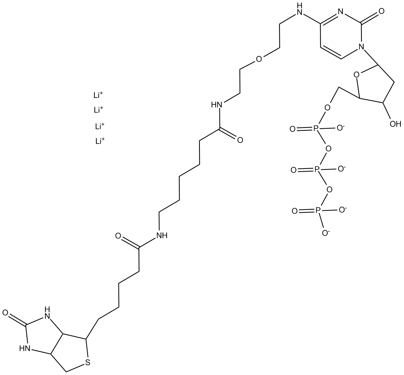 N4-Biotin-OBEA-dCTP