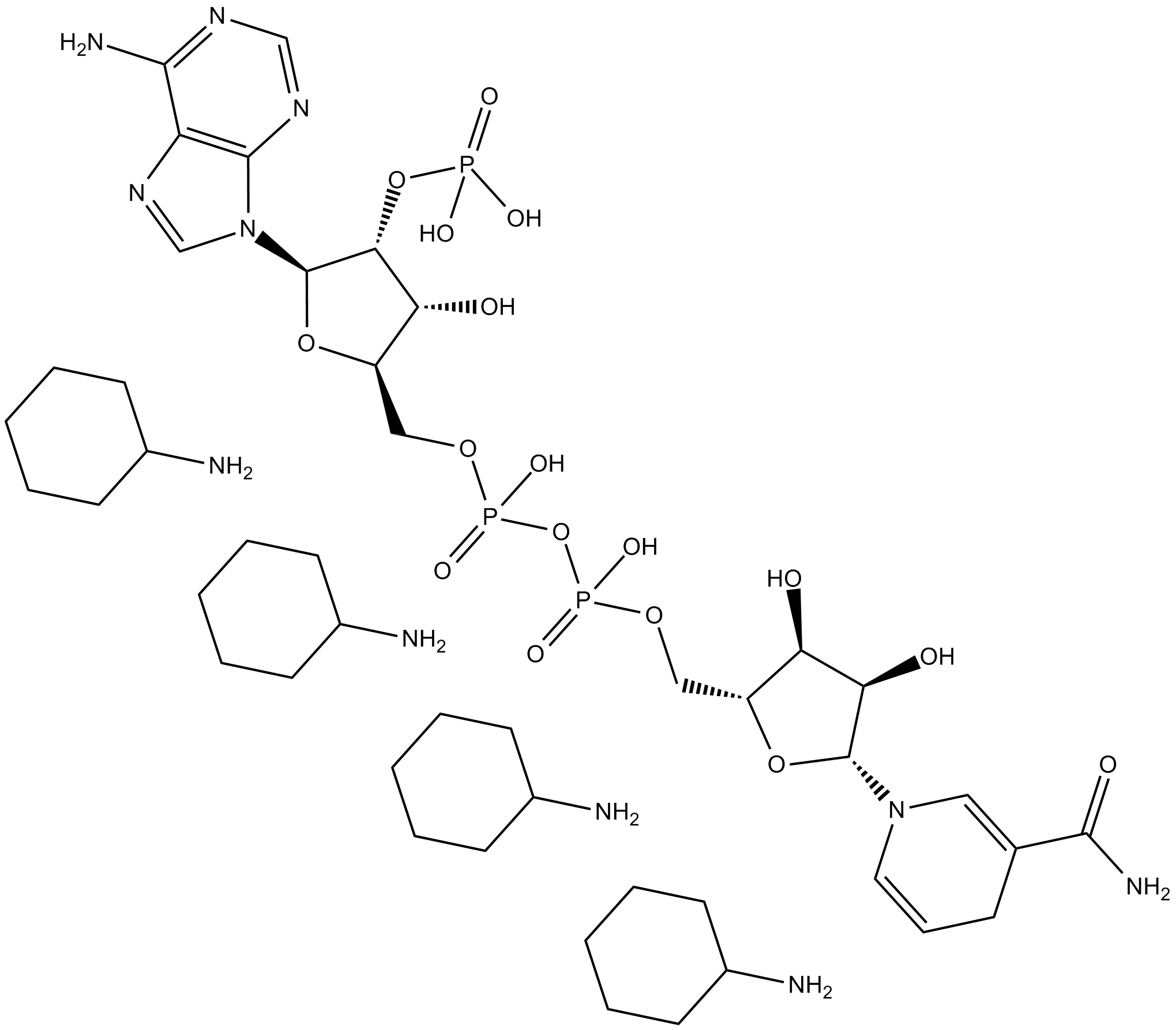 NADPH (cyclohexyl ammonium salt)