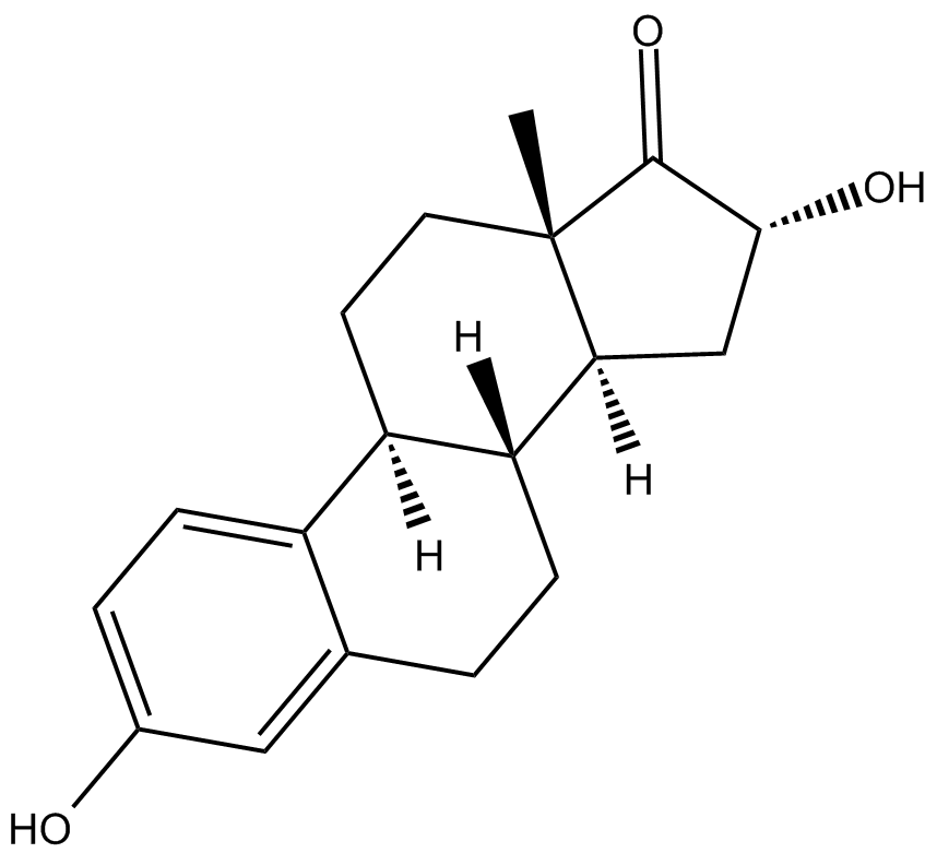 16α-hydroxy Estrone
