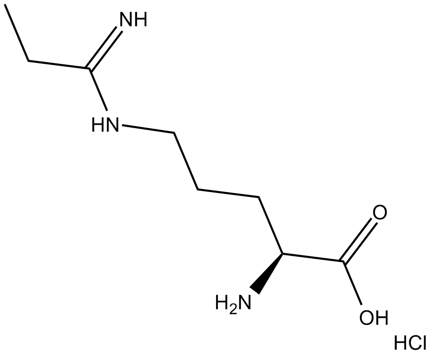 Methyl-L-NIO (hydrochloride)