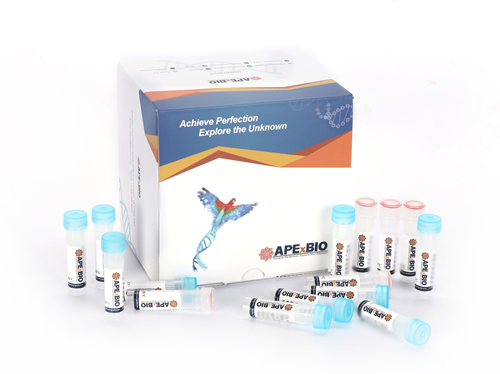 HyperScribe™ All in One mRNA Synthesis Kit II Plus 1 (EZ Cap Reagent AG (3' OMe), 5mCTP, ψUTP, T7, poly(A))