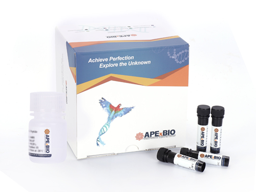 Caspase-1 Fluorometric Assay Kit