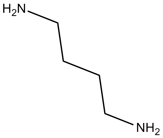 putrescine