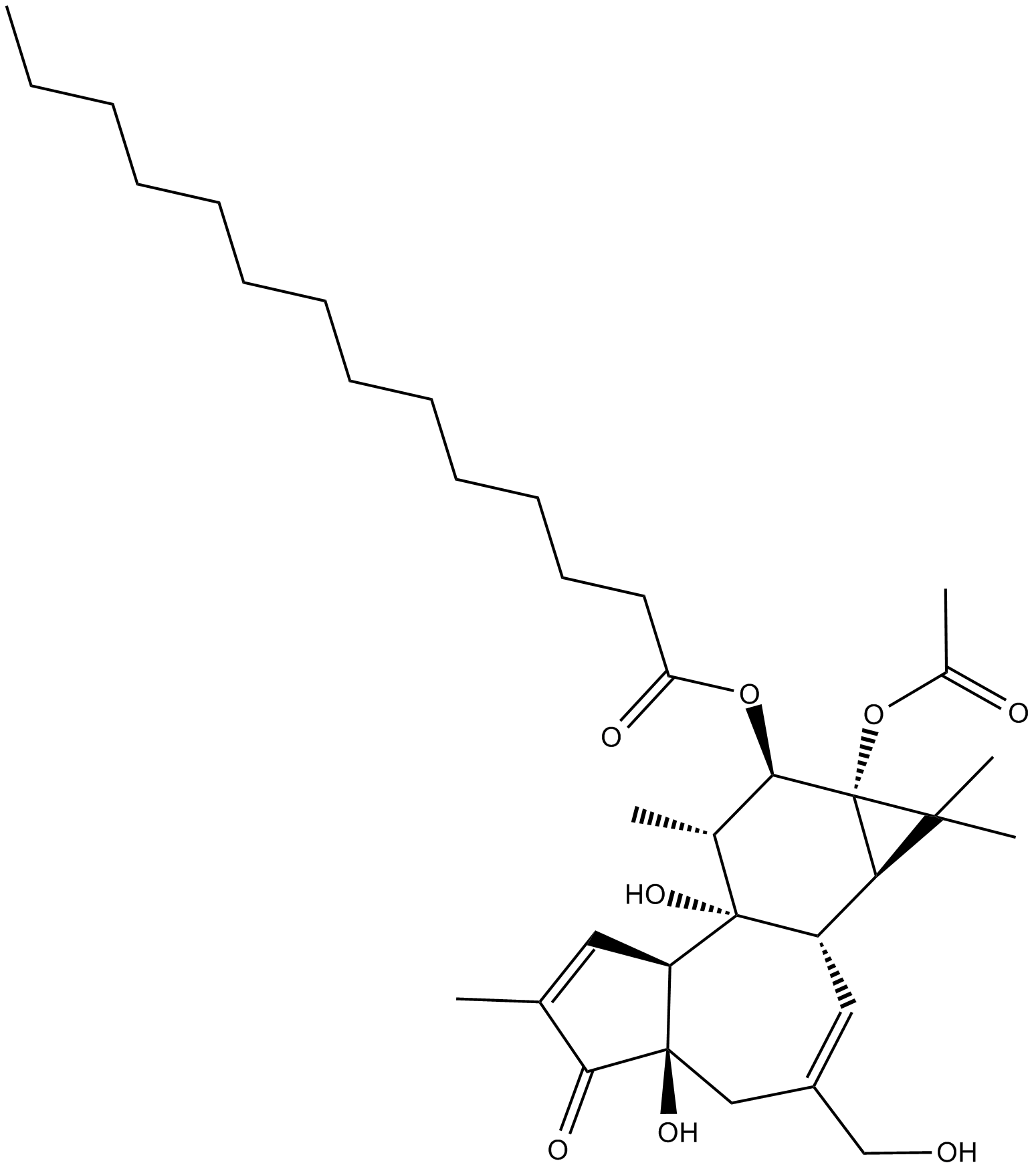 12-O-tetradecanoyl phorbol-13-acetate (PMA)