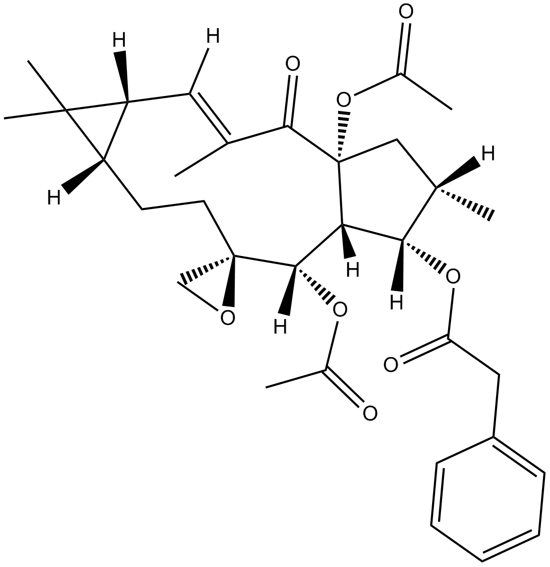 Euhorbiasteroid