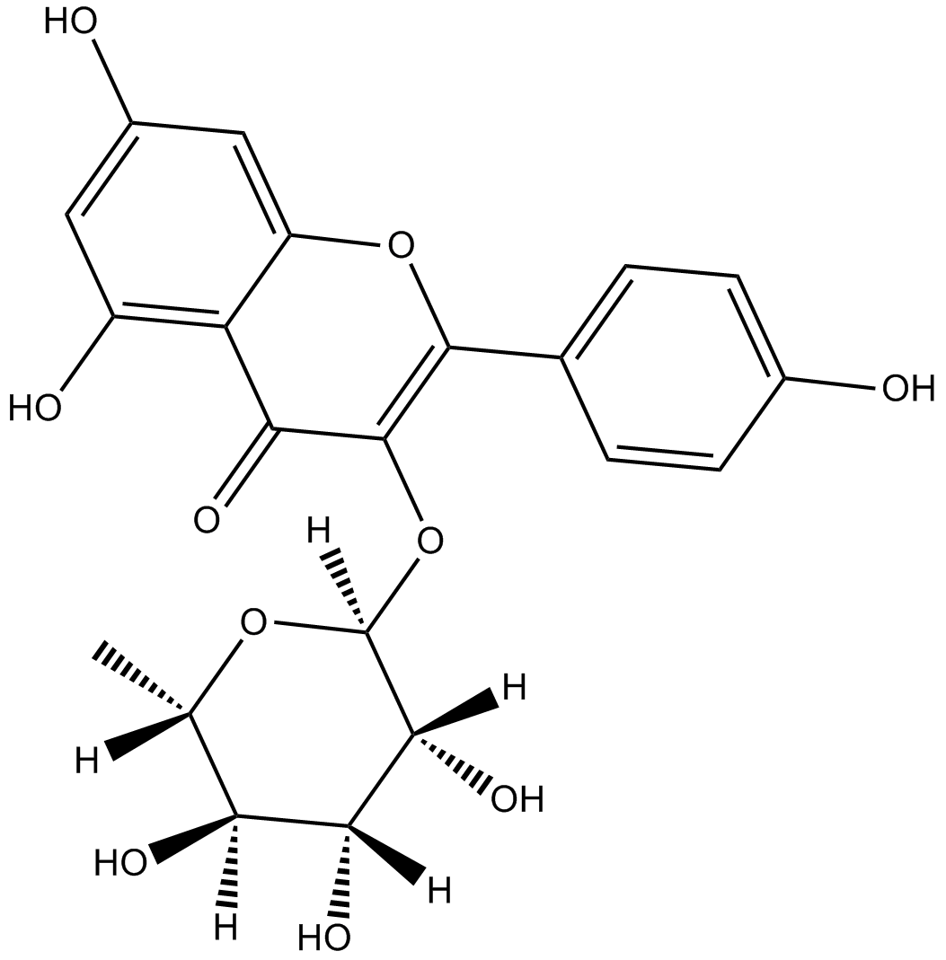 Kaempferol-3-O-glucorhamnoside