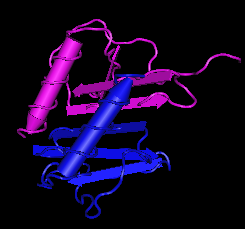 IL-8 (77 a.a.), human recombinant