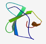 MIP-3beta, murine recombinant protein
