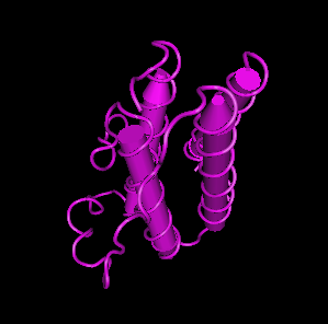 Leptin Receptor, human recombinant protein