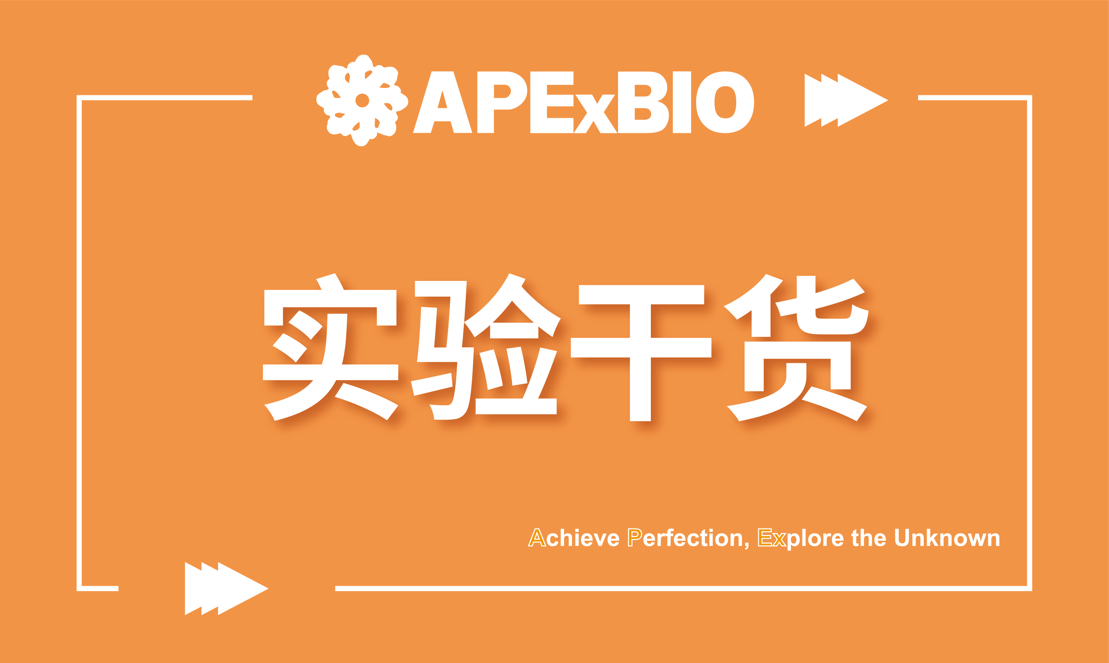 细胞染色实战（第二弹）：Amplex red过氧化氢与过氧化物酶活性检测
