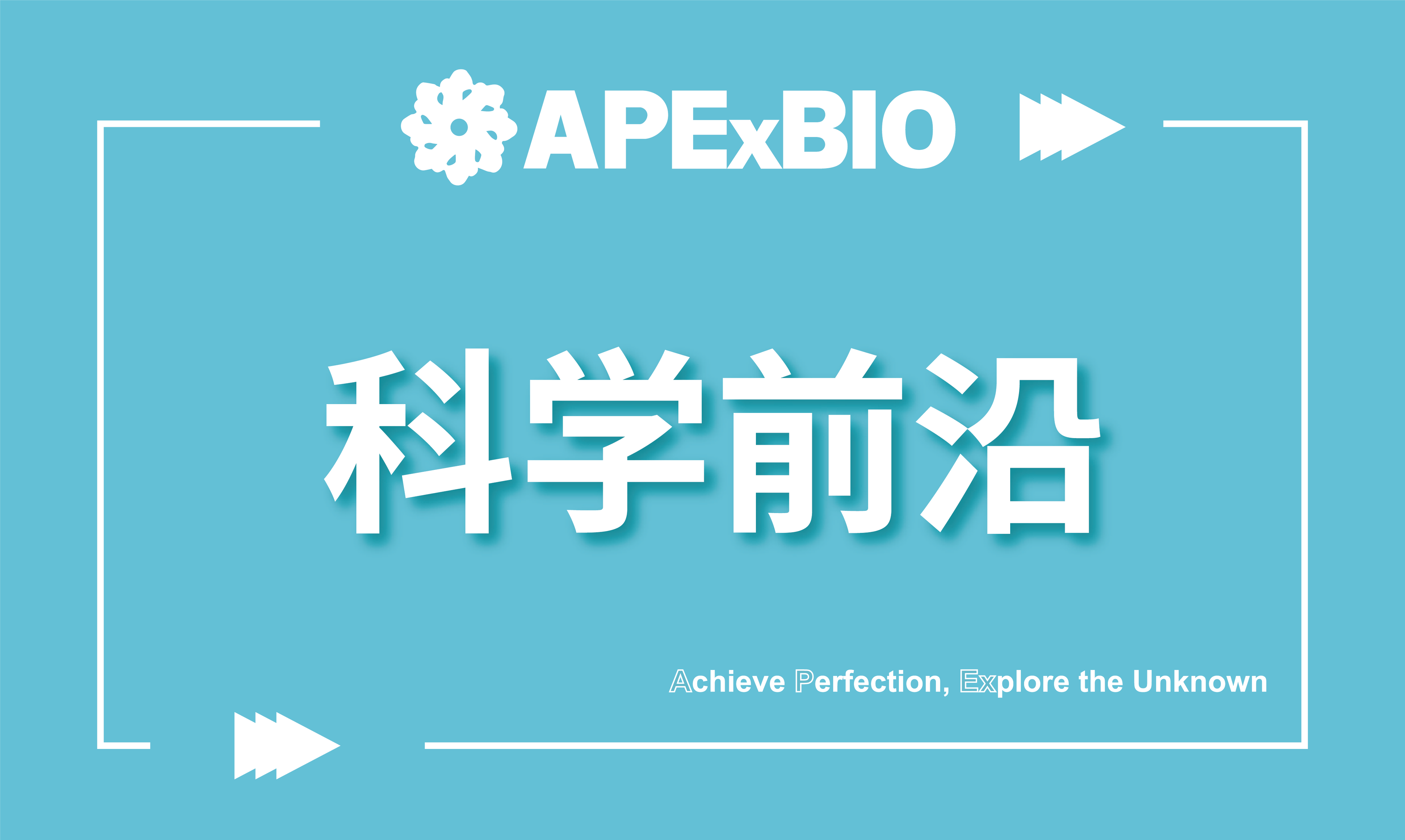 锁定食管鳞癌免疫耐药元凶！CAF-Epi通过SOX2-GPNMB轴持续耗竭CD8+T细胞