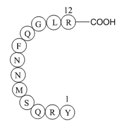 Adrenomedullin (1-12), human