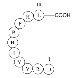 Angiotensin I (human, mouse, rat)