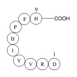 Angiotensin 1/2 (1-9)