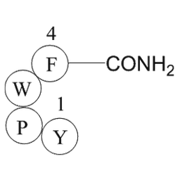 Endomorphin-1