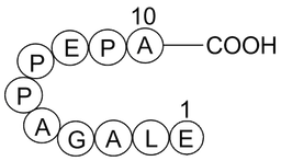Beta-Lipotropin (1-10), porcine