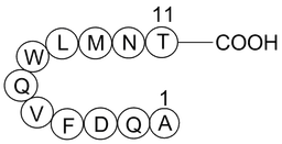 Glucagon (19-29), human