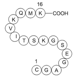 GTP-Binding Protein Fragment, G alpha