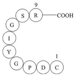 Laminin (925-933)