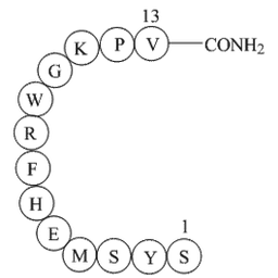 a-MSH, amide