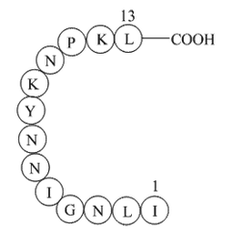 β-Interleukin II (44-56)