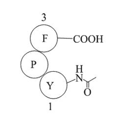 Fas C- Terminal Tripeptide