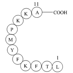 Interleukin II (60-70)