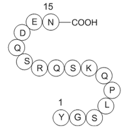 Myelin Basic Protein (68-82), guinea pig