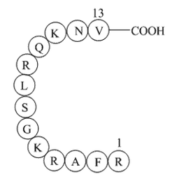 [Ser25] Protein Kinase C (19-31)