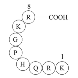 TRH Precursor Peptide