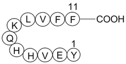 Amyloid β-Peptide (10-20) (human)