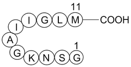 Amyloid Beta-peptide (25-35) (human)