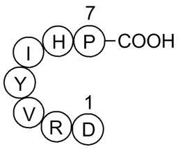 Angiotensin (1-7)