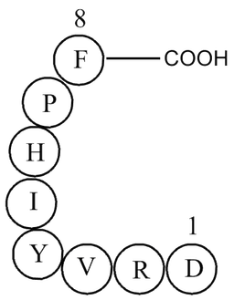 Angiotensin II