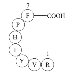 Angiotensin III (human, mouse)