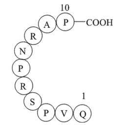 Dynamin inhibitory peptide