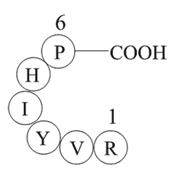 Angiotensin 1/2 (2-7)