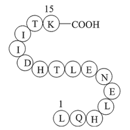 alpha-1 antitrypsin fragment