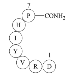 Angiotensin 1/2 (1-7) amide